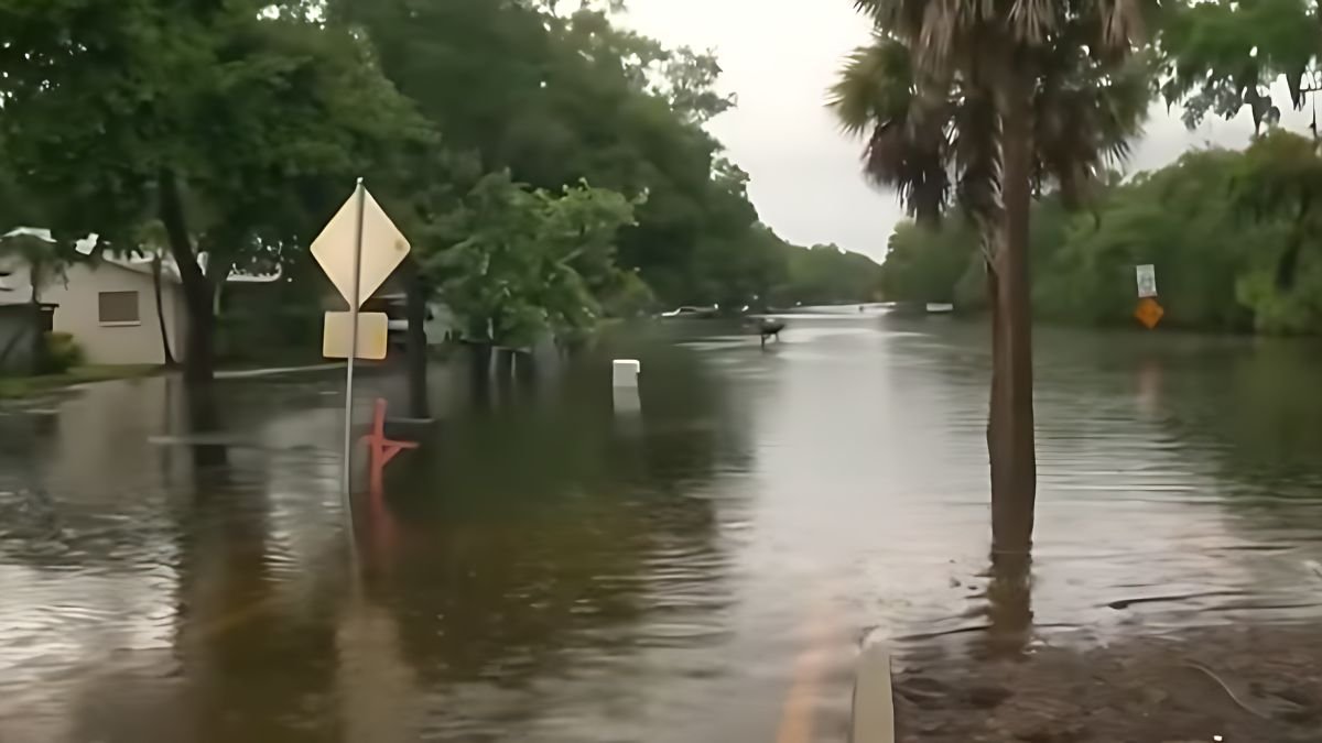 Hurricane Debby Hits Northern Florida